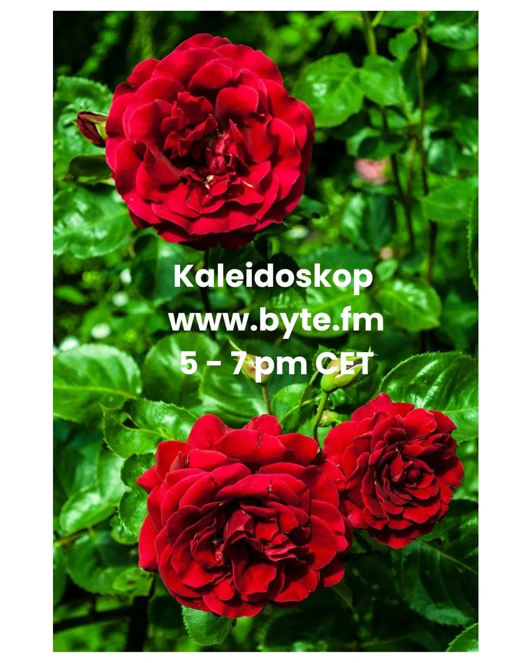 Playlist Kaleidoskop 26 04 06