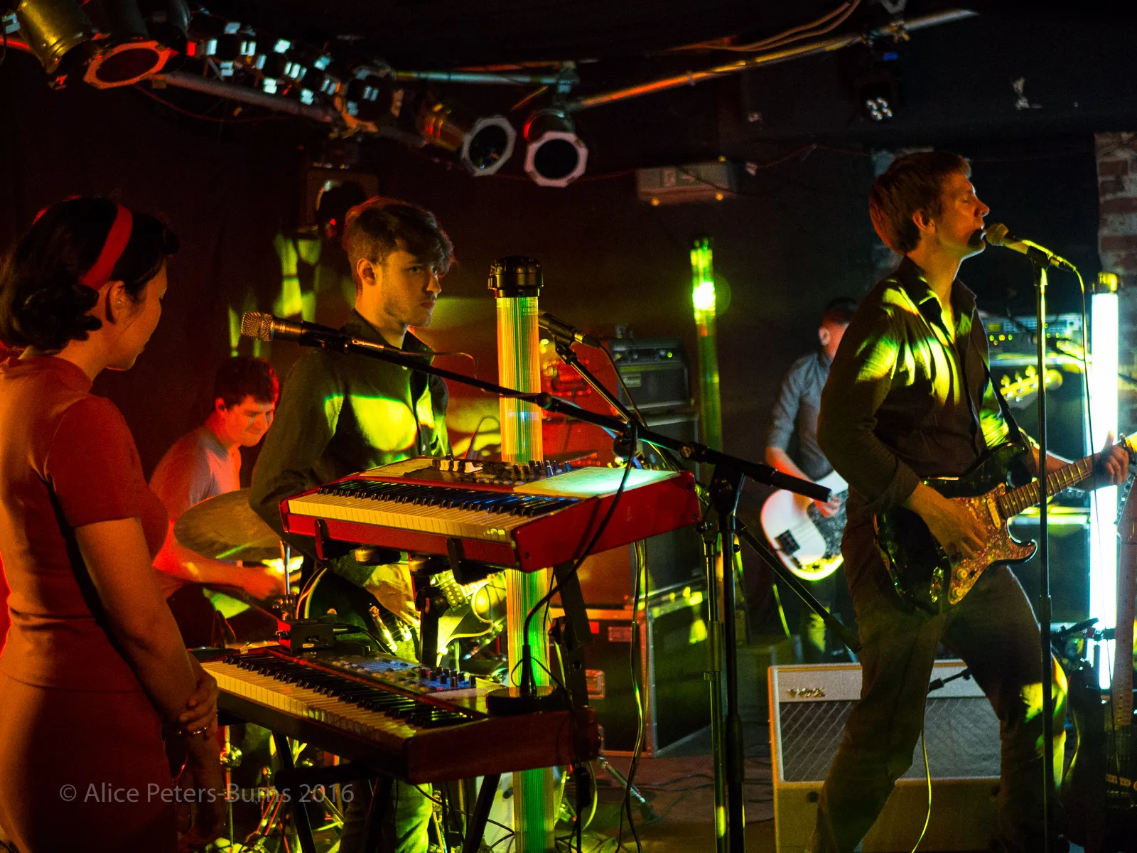Shearwater Interview